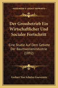 Der Grossbetrieb Ein Wirtschaftlicher Und Socialer Fortschritt