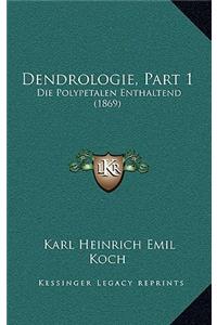 Dendrologie, Part 1