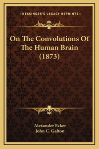 On The Convolutions Of The Human Brain (1873)