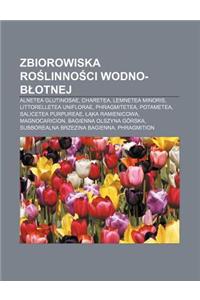 Zbiorowiska Ro Linno CI Wodno-B Otnej