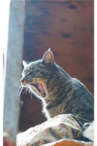 Kid's Petite Barn Cat Journal - Volume Two