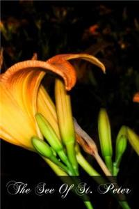 The See Of St. Peter