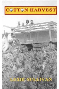 Cotton Harvest