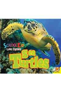 Sea Turtles