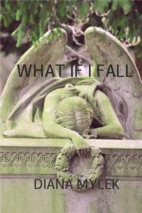 What if I Fall