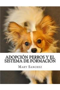 Adopción Perros Y El Sistema De Formación
