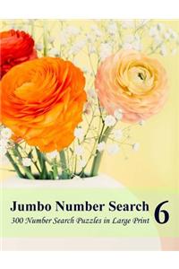 Jumbo Number Search 6