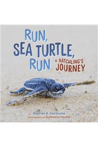 Run, Sea Turtle, Run