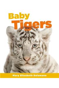 Baby Tigers
