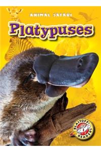 Platypuses