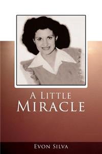 A Little Miracle