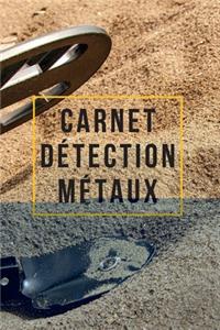 Carnet Détection Métaux