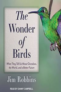 Wonder of Birds