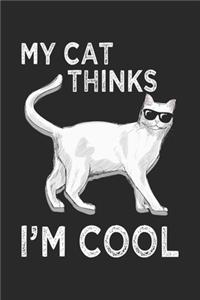 My Cats Thinks I'm Cool