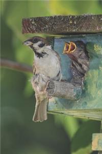 Mom! Mom! Mom! Bird Journal