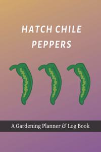 Hatch Chile Peppers