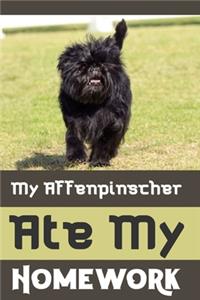 my Affenpinscher ate my homework