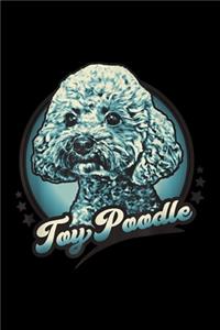 Toy Poodle