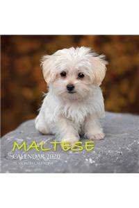 Maltese Calendar 2020