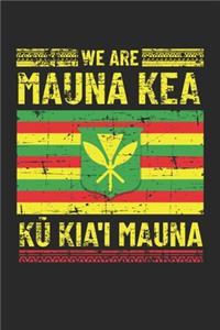 We are Mauna Kea Ku Kia'i Mauna