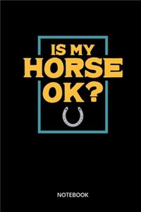 Is My Horse Ok? Notebook