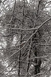 2020 Weekly Planner Winter Season Scenic Branches 134 Pages