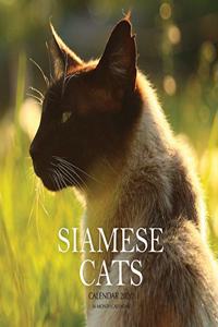 Siamese Cats Calendar 2020