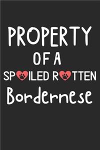 Property Of A Spoiled Rotten Bordernese