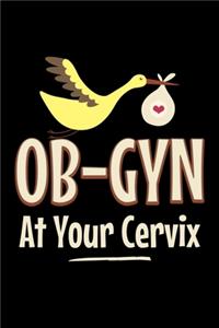 Ob-gyn at your cervix