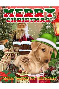 Merry Christmas Adult Color By Numbers