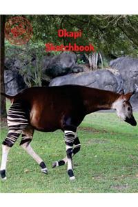 Okapi Sketchbook
