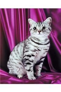 School Composition Book Posing Cat Photo 200 Pages