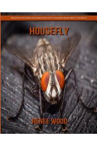 Housefly