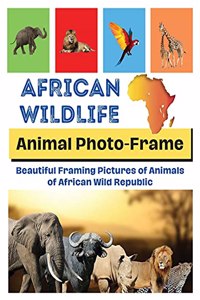 African Wildlife