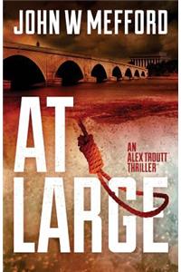 At Large (an Alex Troutt Thriller, Book 2)
