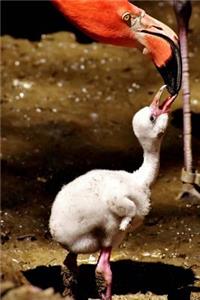 Mama and Baby Chick Flamingo Journal