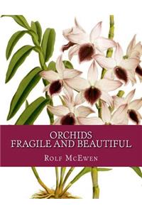 Orchids - Fragile and Beautiful