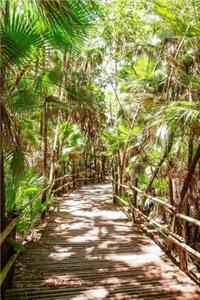 Bacab Jungle Park Walkway Path in Belize Journal