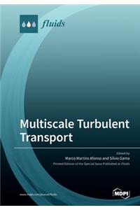 Multiscale Turbulent Transport