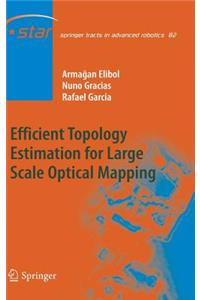 Efficient Topology Estimation for Large Scale Optical Mapping