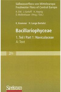 Bacillariophyceae, 1. Teil: Naviculaceae