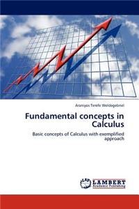 Fundamental concepts in Calculus