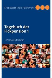 Tagebuch der Fickpension 1