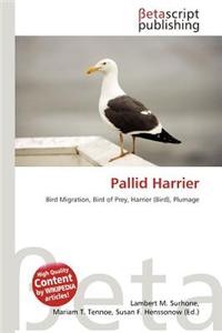 Pallid Harrier