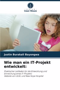 Wie man ein IT-Projekt entwickelt