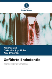 Geführte Endodontie