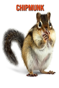Chipmunk