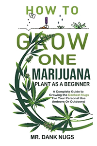 How To Grow One Marijuana Plant As A Beginner
