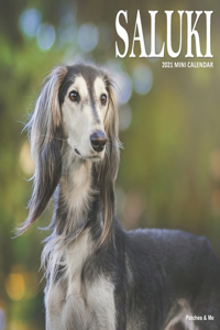 Saluki