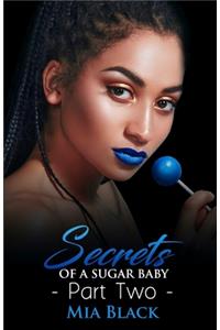Secrets Of A Sugar Baby 2